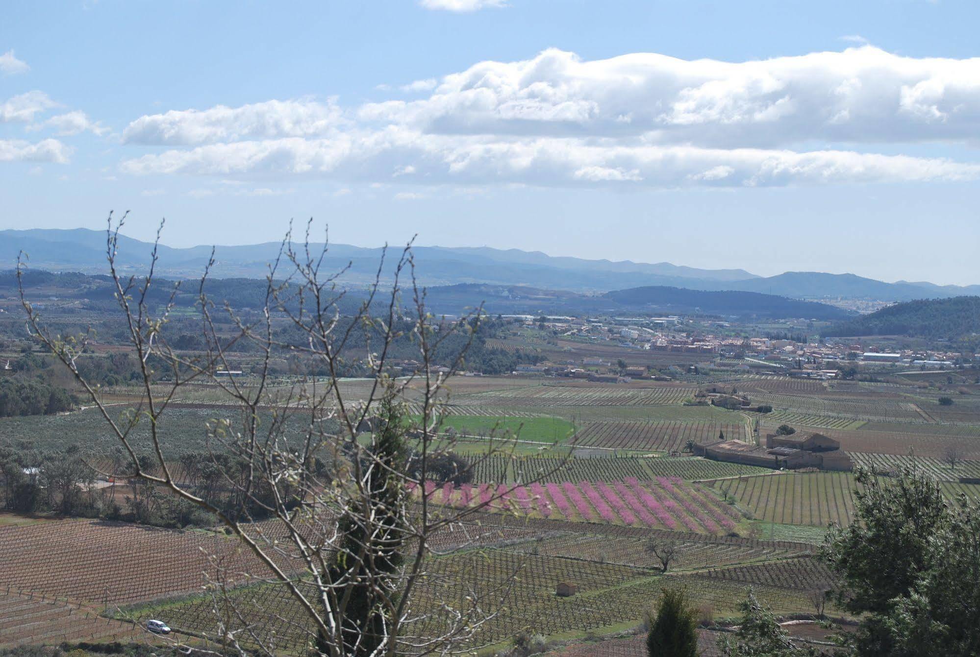 Arianella Holiday Home Penedes Torrellas de Foix Екстер'єр фото